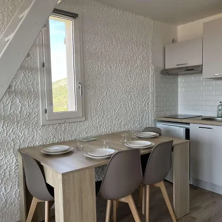 Charmant Studio Climatise Avec Terrasse Et Parking A 1 Km De La Plage, 4 Couchages - Fr-1-63-314 Apartment *